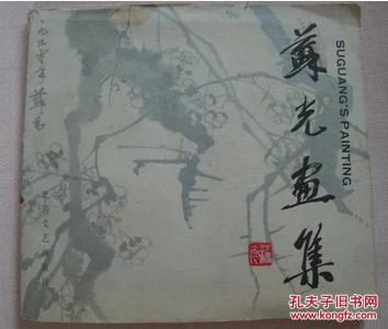 苏光的人物经历