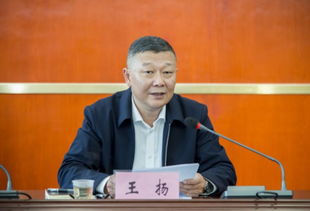 王阳明，王扬泽