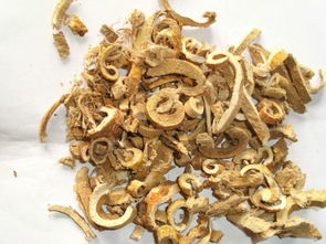 桑白皮有什么作用?桑白皮有什么功效?