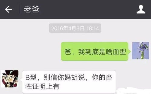 估计的意思