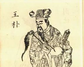 抗日小英雄王朴毫不畏惧的意思