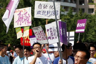 报道和报到的意思，报道和报到的用法