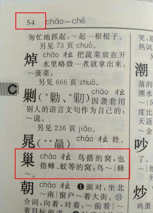 巢这个字读什么音