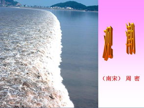 观潮原文,注释及译文
