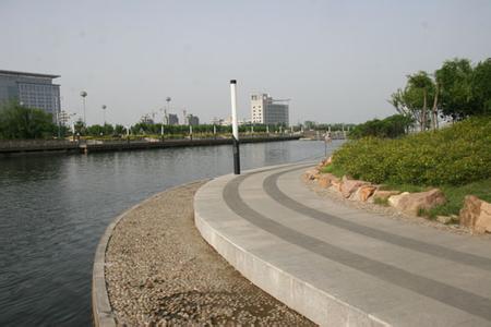 局部地区能见度低于200米,东营迎来大雾天气