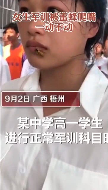 以不动应万动,以不变应万变什么意思，以不变应万变,以万变应不变,以万变应万变