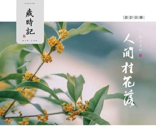 “人闲桂花落”的下一句是什么?