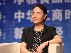 聂梅生先生是谁，聂梅生是谁