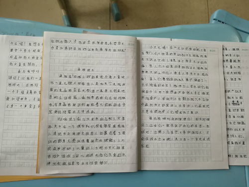 森林防火征文600字初中，森林防火征文600字获奖作文免费