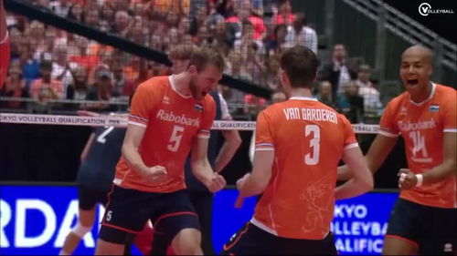 volleyball的中文翻译，volleyball造句