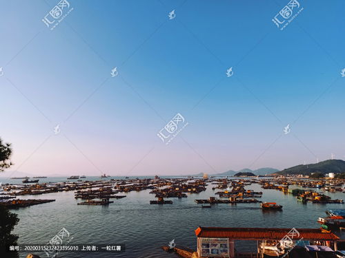 停泊怎么读