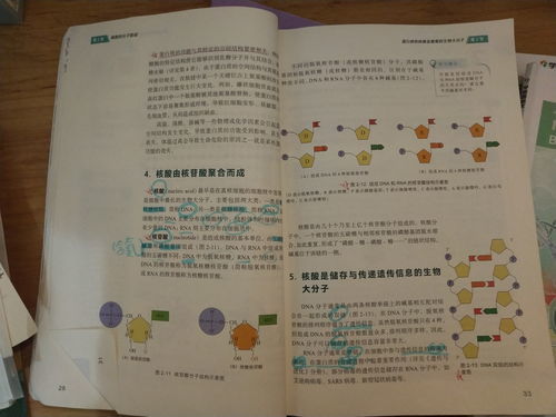 村可以组什么词