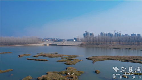 府河星城，府河大桥