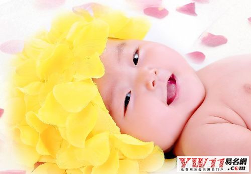 龙年女宝宝怎样取名最艺术