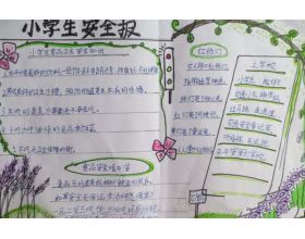 垃圾分类征文400