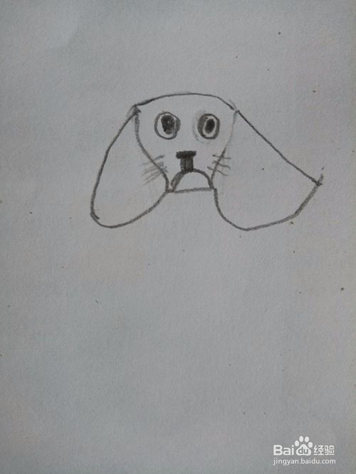 狗的笔画顺序怎么写