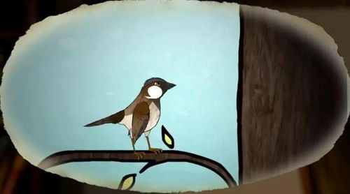 bird怎么读