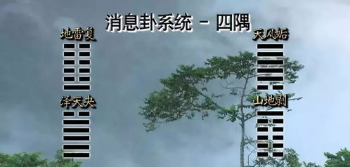 易经泽天夬是什么意思，夬怎么读