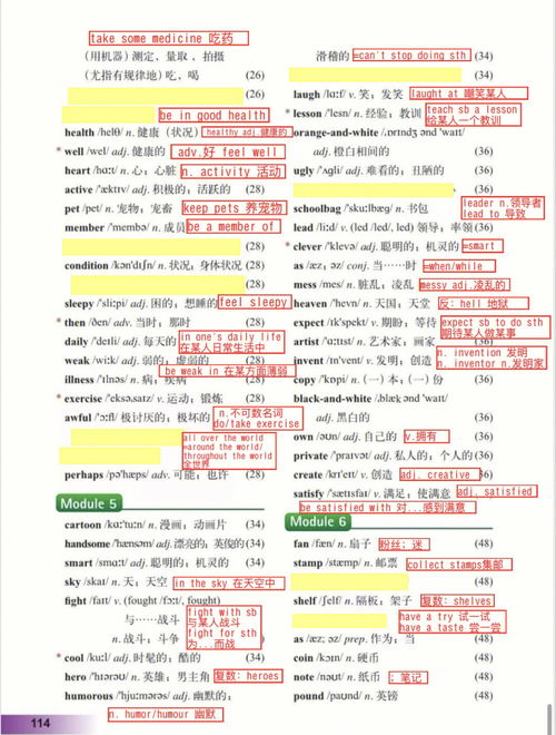 八年级下册英语单词表总结