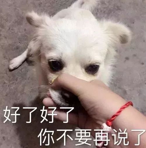 住口拼音怎么写的，住口拼音怎么拼写声调