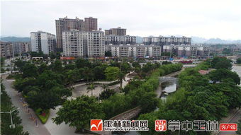 兴业县是广西哪个市，兴业县县长