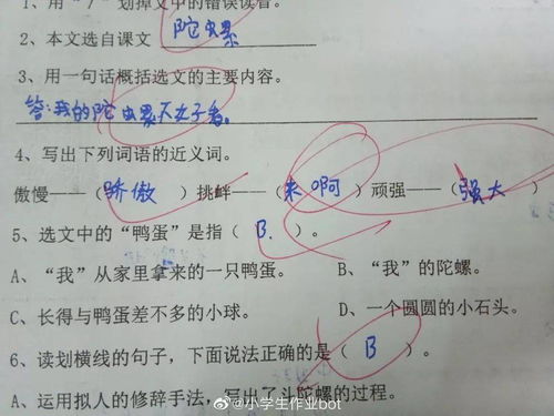 挑衅的意思