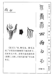 而字可以组什么词