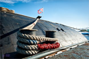 缆绳什么意思