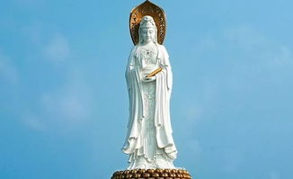“菩提萨婆诃”是什么意思?