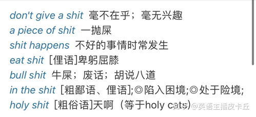 shit什么意思