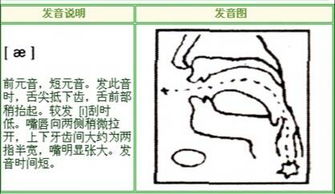英语音标中梅花音/ae/与/e/的发音区别