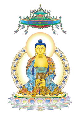 贤劫是大劫还是中劫，贤劫七佛