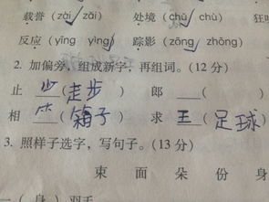 于组词有哪些