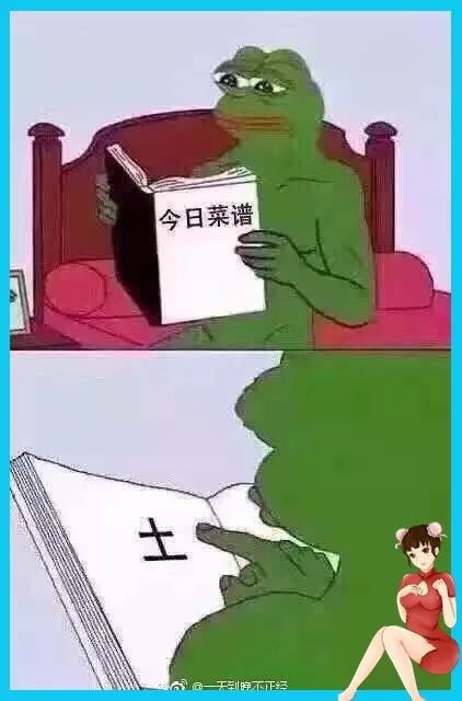 我是棒子写的几本书，邻家美姨全文阅读小说
