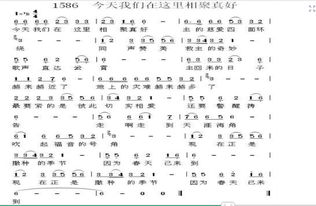 在这里真好原唱，在这里真好原唱歌谱