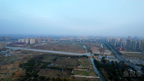 惠南镇鉴定古钱币的地方