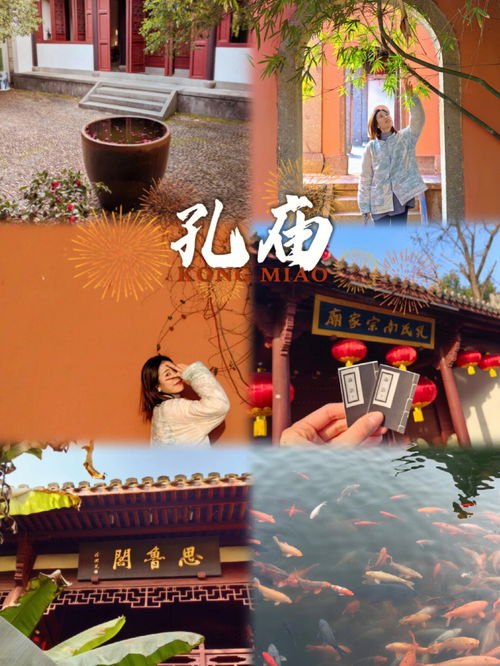 曲阜孔庙为什么不提衢州孔庙?