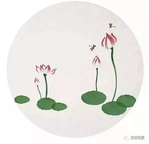 躞蹀怎么读拼音，乀乄怎么读音是什么意思