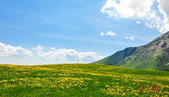 尼勒克县旅游景点有哪些