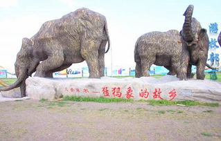 扎赉诺尔在什么地方?