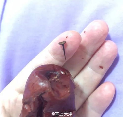 若黄蓉不使计谋,是否能真正的接下裘千尺三枚枣核钉?