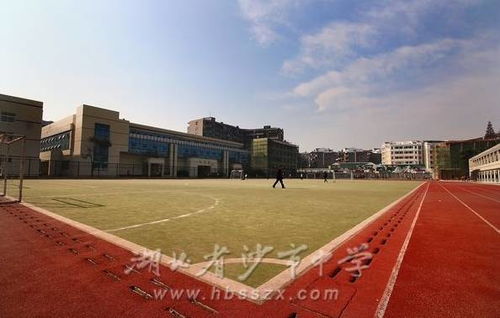 沙市区初中学校排名