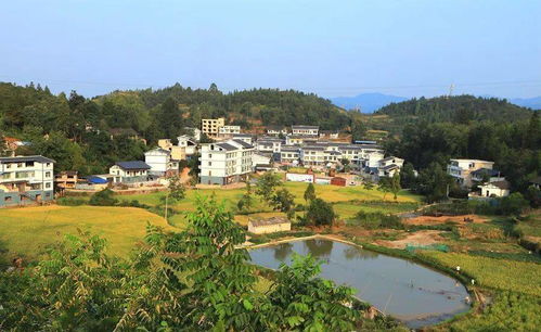创宜居山建美丽乡村手抄报 美丽的手抄报
