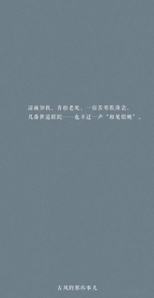 经典语录:既相遇,必相惜,既有缘,必在意
