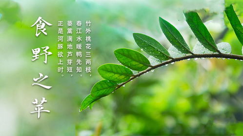 律回岁晚冰霜少,春到人间草木知。原文_翻译及赏析
