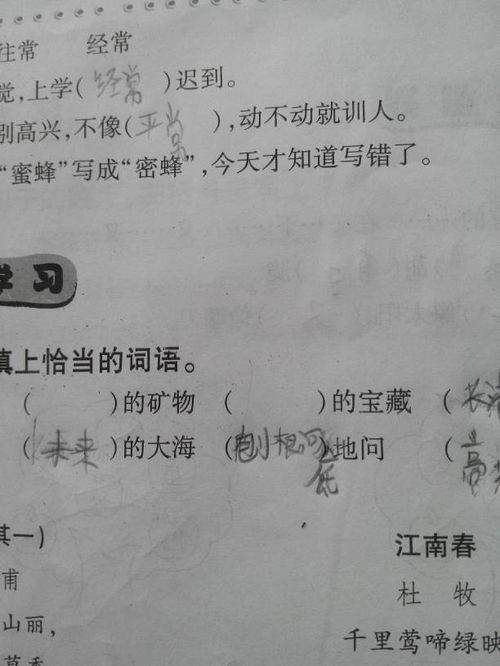什么的鸟儿填合适词语