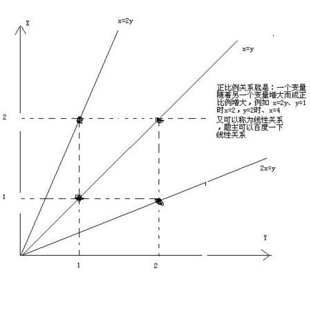正比例关系