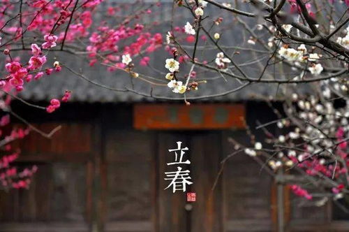 请问:立春偶成这首诗的全文是什么?