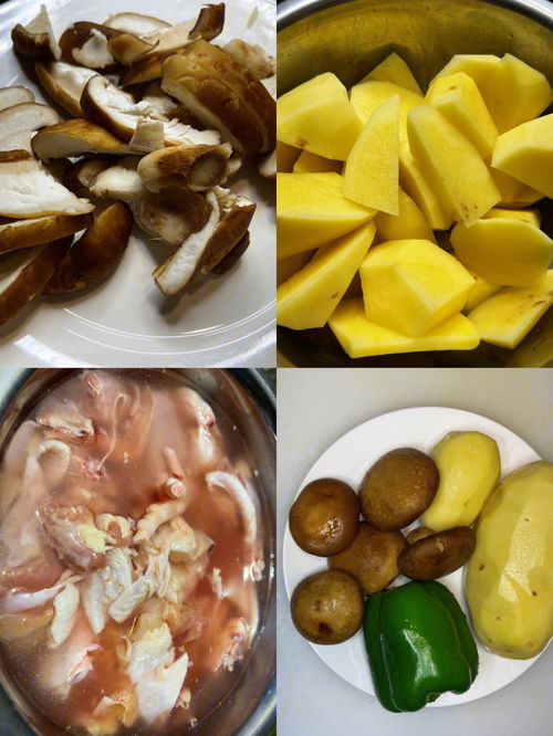 和鲜集团，和鲜花拍照的姿势大全