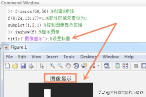 video复数怎么写的，video复数加什么